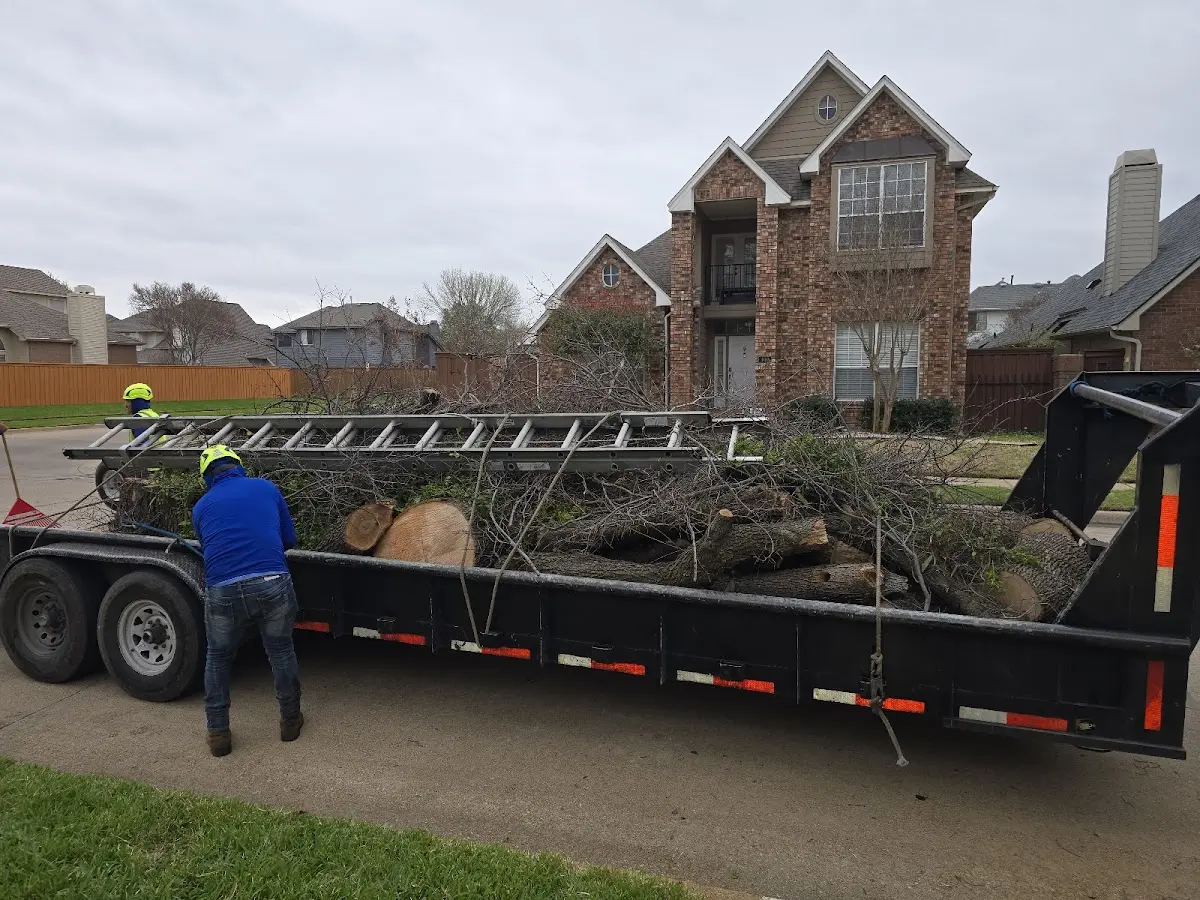 Expert Tree Fertilization with proper safety equipment in Grinnell